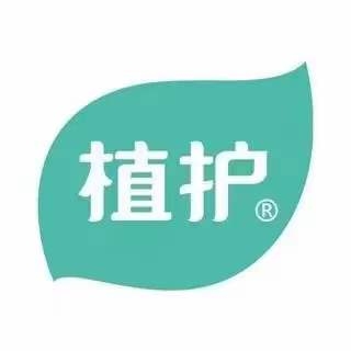 維亞造紙機(jī)械與來賓廣西植護(hù)云商7、8號機(jī)正式簽約